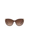 Ray-Ban 0VE4364Q Montures de Lunettes, Noir Top Brown/Transparente , 55.0 Femme