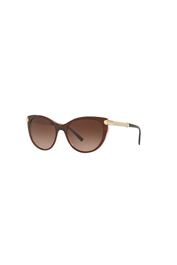Ray-Ban 0VE4364Q Montures de Lunettes, Noir Top Brown/Transparente , 55.0 Femme