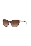Ray-Ban 0VE4364Q Montures de Lunettes, Noir Top Brown/Transparente , 55.0 Femme