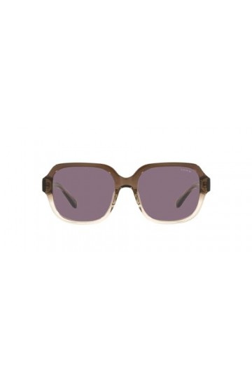 Coach Lunettes de Soleil C7989 CH 8335U Transparent Brown/Violet 53/18/140 femme