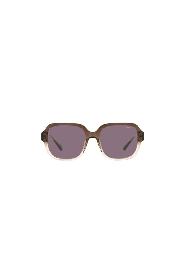 Coach Lunettes de Soleil C7989 CH 8335U Transparent Brown/Violet 53/18/140 femme