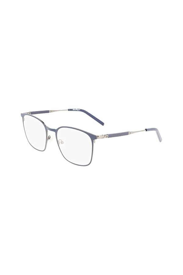 Salvatore Ferragamo SF2566 021 Light Ruthenium Blue Vista Womens Steel, Standard, 54 Sunglasses, Unisex