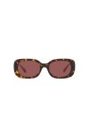 Coach Lunettes de Soleil HC 8358U Dark Tortoise/Dark Violet 54/20/140 femme