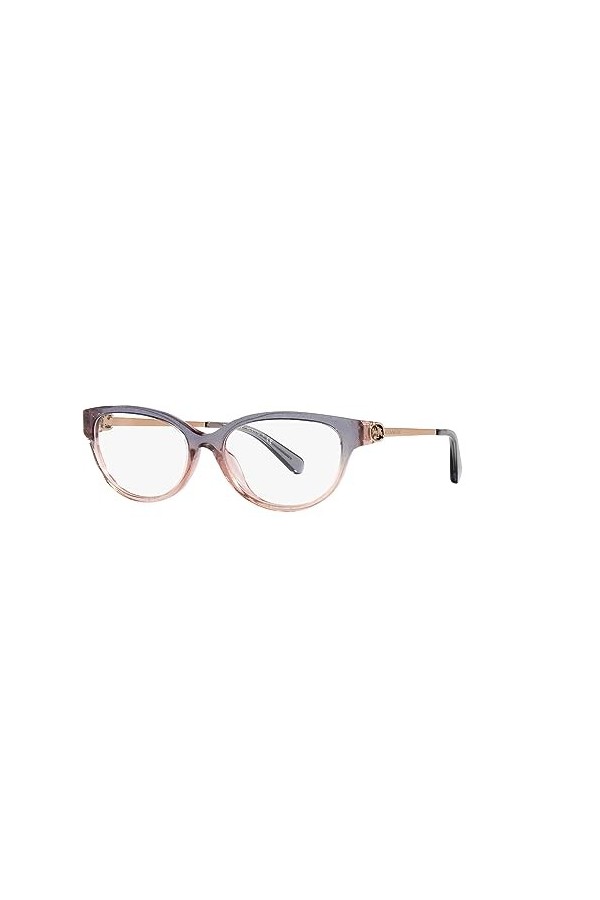 Coach HC6171U Lunettes de soleil pour femme Violet/pêche dégradé 55