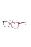 Coach HC6143-5569-52 Coach Womens HC6143-5569-52 Fashion 52mm Transparent Mauve Opticals