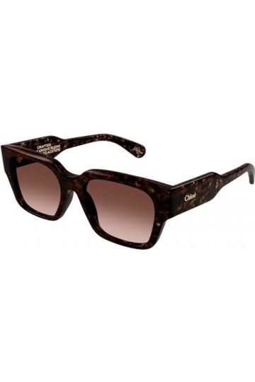 Chloé CH0190S-002-59 - Lunettes de soleil pour femme - Havana foncé brillant, Shiny Dark Havana, Medium