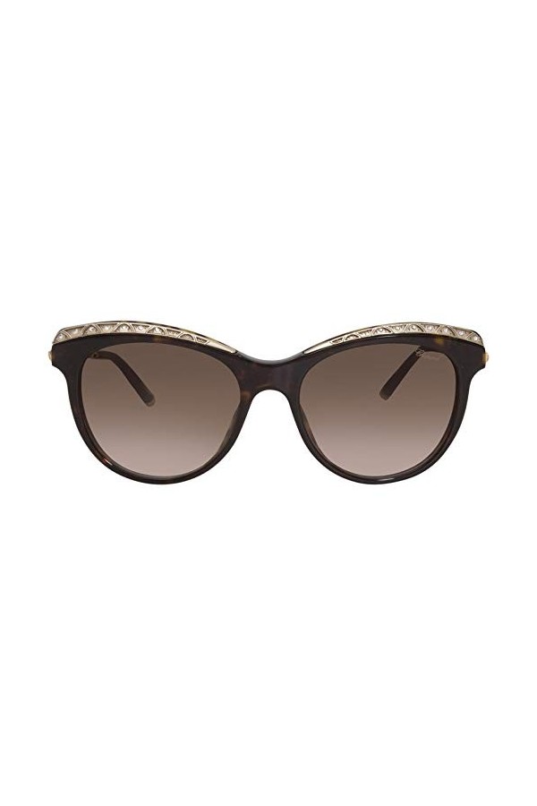 Chopard Sch271s Lunettes de Soleil, Avana Scura Lucida, 55 Mixte