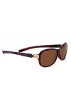 Serengeti Isola Lunettes de soleil Shiny Dark Tortoise Taille M-L