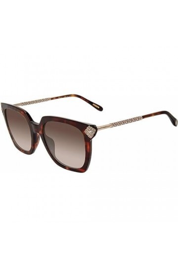 Chopard Sch336s Lunettes de Soleil, Havana foncé Brillant, 54 Femme