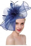 Bibi Mariage Femme Elégant Chapeau de Voilette Banquet Fascinator Hat Vintage Epingle à Cheveux Chic Coiffe de Mariée à Grand