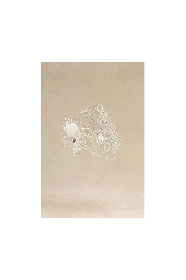 Coucoland Fascinators 1920 Fascinator - Cappello da Donna Con piume e Fiori, in rete, Elegante, per Matrimonio, per Cocktail