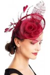 Femmes Fascinator Chapeau Fleurs Maille Bouclé Voile Plume Chapeaux Chapeau avec Clip De Mariée Coiffure De Mariage Accessoir
