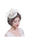 Chapeau de Mariage Bibis Femme Coiffure Bride Fascinator Épingle à Cheveux Nuptiale élégantes Voilette en Maille pour Cocktai