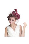 Chapeau de cérémonie fête femme bibi voilette mariage élégant Fascinator hat Britannique Vintage fleur plumes coiffure cheveu
