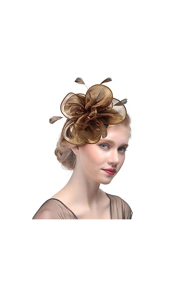 HKSCKJ Chapeau de Mariage Plumes Vintage pour Femmes Filles Chapeau de Banquet avec Bandeau et Pince à Cheveux Accessoires de