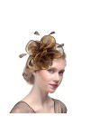 HKSCKJ Chapeau de Mariage Plumes Vintage pour Femmes Filles Chapeau de Banquet avec Bandeau et Pince à Cheveux Accessoires de