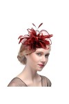 HKSCKJ Chapeau de Mariage Plumes Vintage pour Femmes Filles Chapeau de Banquet avec Bandeau et Pince à Cheveux Accessoires de