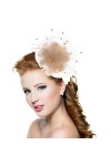 Chapeau Bibis Mariage Femme Coiffure Fascinator Épingle à Cheveux élégantes en Maille Bandeau pour Cocktail Derby Cérémonie É