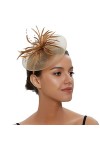 Amosfun Chapeau bibi élégant avec fleurs et plumes - En maille filet - Pour femme et fille - Noir, rouge,