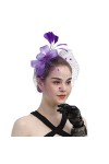 Brawlady Chapeau bibi en voile pour femme avec clip Kentucky Derby - Accessoire de cheveux pour femme - Accessoire pour cockt