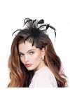 Chapeau Fascinators Femmes Noir Maille Plume Chapeaux Casquette Rétro thé Fête Chapeaux Cocktail Fête Mariage Cheveux Accesso