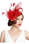 Z&X Sinamay Bibi et chapeaux avec serre-tête en maille avec fleur et plumes pour mariage Royal Ascot Chapeau, 01 Nude Rose, t