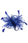 SJTJSPX Chapeau bibi pour femme - Accessoire de coiffure - Pour cocktail, thé, fête, mariage, église, organza - Serre-tête en
