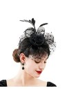Fascinator Femme Plumage Bandeau Fascinator Fleur Maille Dentelle Clip Chapeau Plume Cheveux Accessoires Chapeaux pour Fête É