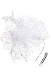 Fascinator Chapeau Fascinators Coiffures de Mariée pour Femmes Filles Tea Party Chapeaux Femmes Fascinator Bandeau avec Pince