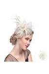 Chapeau de Fascinateur, Fascinator Chapeau, Chapeau Fascinator pour Femme, Voile Maillé et Plumes pour Femmes Chapeau de Voil