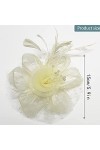 Chapeau de Fascinateur, Fascinator Chapeau, Chapeau Fascinator pour Femme, Voile Maillé et Plumes pour Femmes Chapeau de Voil