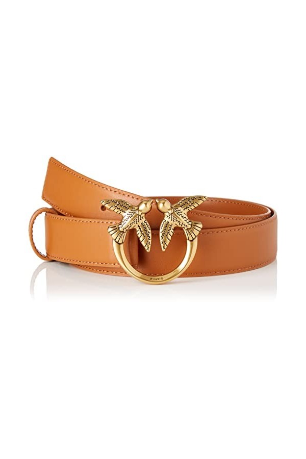 Pinko Love Berry H3 Belt Vitello Set Ceinture, P31q_Rose Marine-Antique Gold, XS Femme