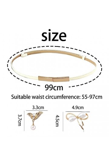 Lot de 2 ceintures fines en cuir avec 2 épingles de corsage polyvalentes, ceinture fine pour femme, ceinture vintage simple p