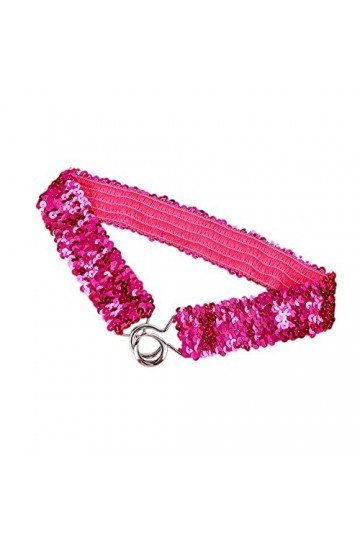 Ceinture de Taille avec Paillettes pour Femme,Bordure à Paillettes,Ceinture de Taille,Ceinture pour Femme,Paillettes Vintage 