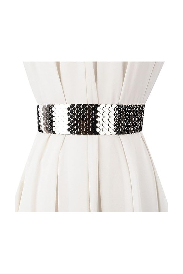 SAIBANGZI Fashion Waist Waist Lady Wide Belt Personality Metallic Dress Belt Elastic Belt Girl