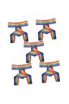 TOYANDONA 10 Pièces Ceinture Lgbt Accessoires De Robe Ceintures De Mariée Ceinture De Mariée Ceinture De Fierté Gay Ceinture 