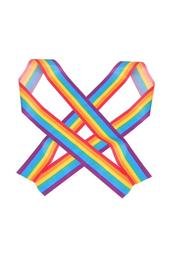 TOYANDONA 10 Pièces Ceinture Lgbt Accessoires De Robe Ceintures De Mariée Ceinture De Mariée Ceinture De Fierté Gay Ceinture 