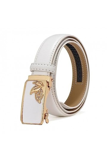 NIUXICH Ceintures pour femmes Robe Jeans Ceinture à boucle automatique Largeur 2,8cm Ceinture en jean décontractée pour acces