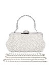 BAIGIO Sac de Pochette de Soirée Perlé pour Femmes Sac à main Ladies Pearl pour le Banquet Nuptial de la Fête de bal de Maria