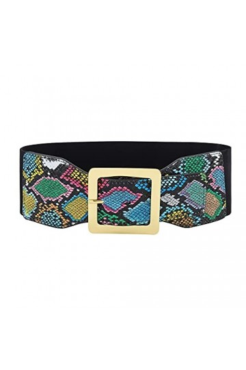 CHIC DIARY Ceinture élastique pour femme - Imprimé animal - Large ceinture extensible, Peau de serpent colorée, taille unique