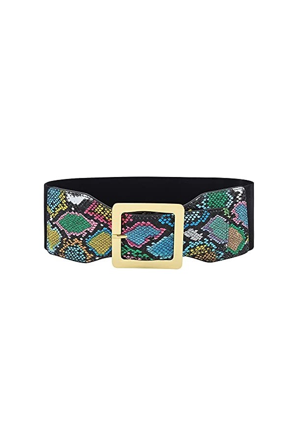 CHIC DIARY Ceinture élastique pour femme - Imprimé animal - Large ceinture extensible, Peau de serpent colorée, taille unique