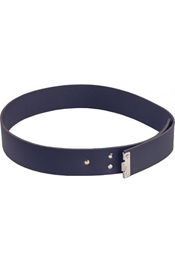 Job Koppel Koppelschloss für Zunftkleidung Zunfthose