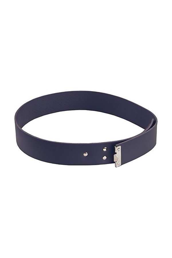 Job Koppel Koppelschloss für Zunftkleidung Zunfthose