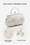 BABEYOND Sac à Main Soirée-Pochette Mariage pour femme Clutch 1920s Vintage Perlé Argenté