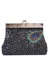 SYMALL Femme Sac de Soirée à Main Rétro Chic Minaudière avec Joliment Décoré Comme Plume Du Paon Clutch Pour Soirée Pochette 