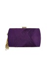 MOISTRI Party Purses for Women Evening Evening Bag Wedding Party Handbag Clutch Purse Dressy Purses for Formal Occasion Or