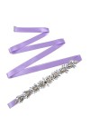Ceinture pour robe de mariée, accessoires de mariage, robe de soirée, ceintures, appliques en strass, Violet, taille unique