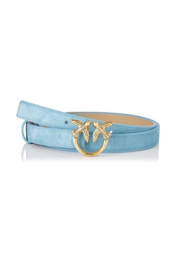 Pinko Love Berry H2 Belt Suede Ceinture, Y13q_Iris-Antique Gold, L Femme