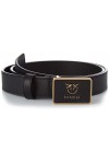 Pinko Ondina 2 H3 Belt Vitello Seta Ceinture, Z99B-Noir Limousine Block Color, XS Femme
