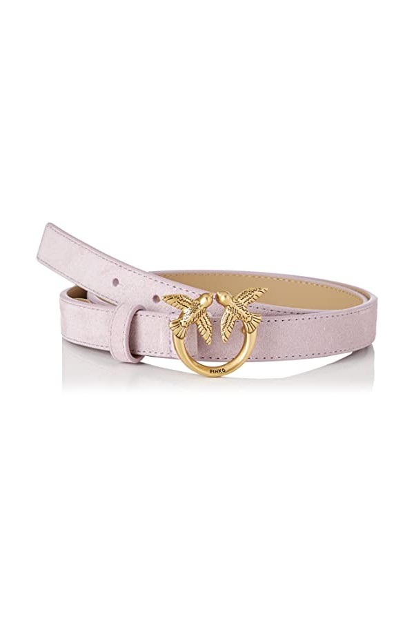 Pinko Love Berry H2 Belt Suede Ceinture, Y13q_Iris-Antique Gold, L Femme